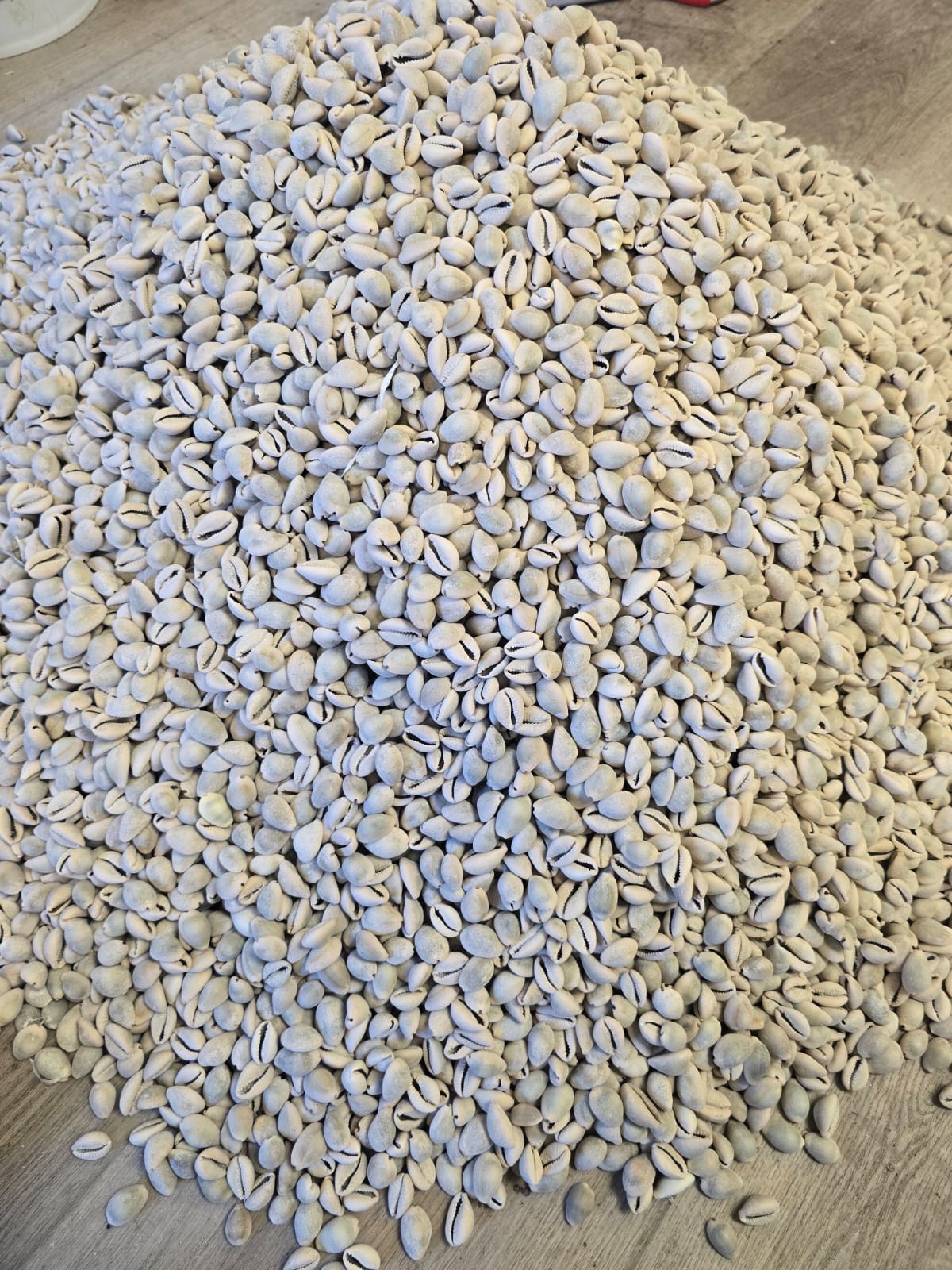 African Authentic Cowries/Owo Eyo