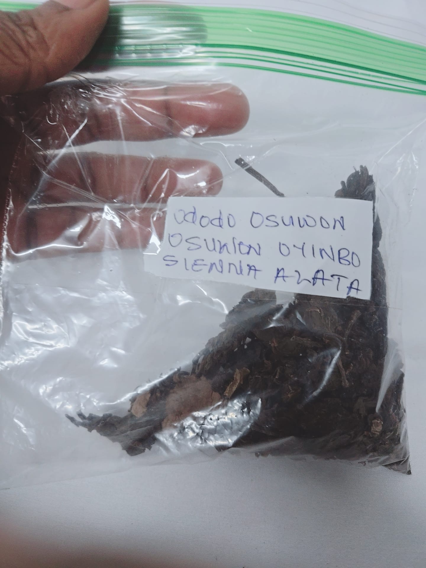 Ododo Osunwo/Osunwo Oyinbo/Sienna Alata