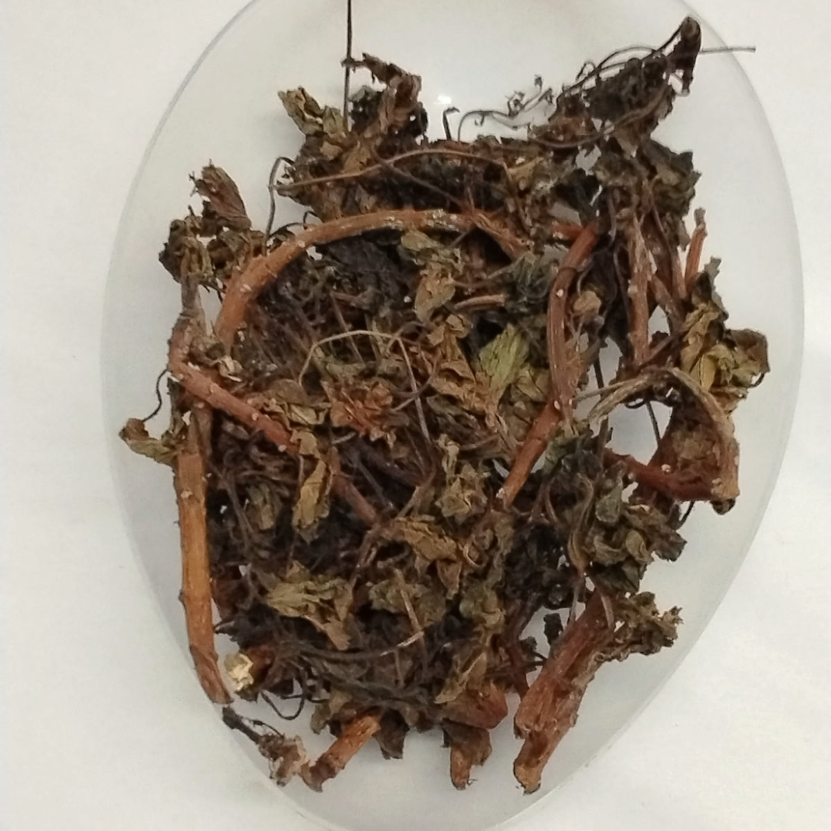 Ewe Lapalapa Pupa/Red Jatroha Leaves/Dried African Herbs/Jatropha Gossypiifolia