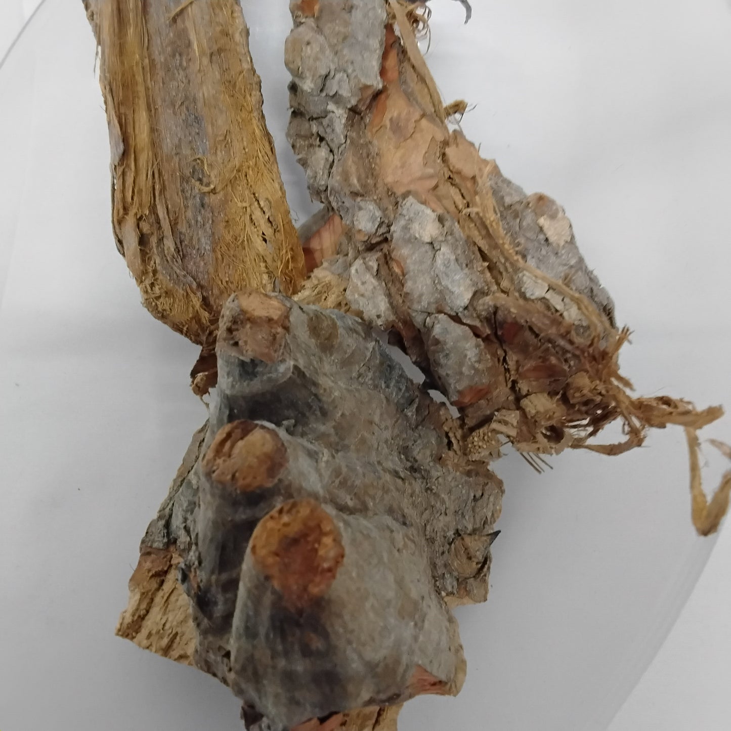 2.5oz Epo Igi Araba/Epo Totoro/Silk Cotton Tree Bark/Akpu-Ogwu/Rimini Bark