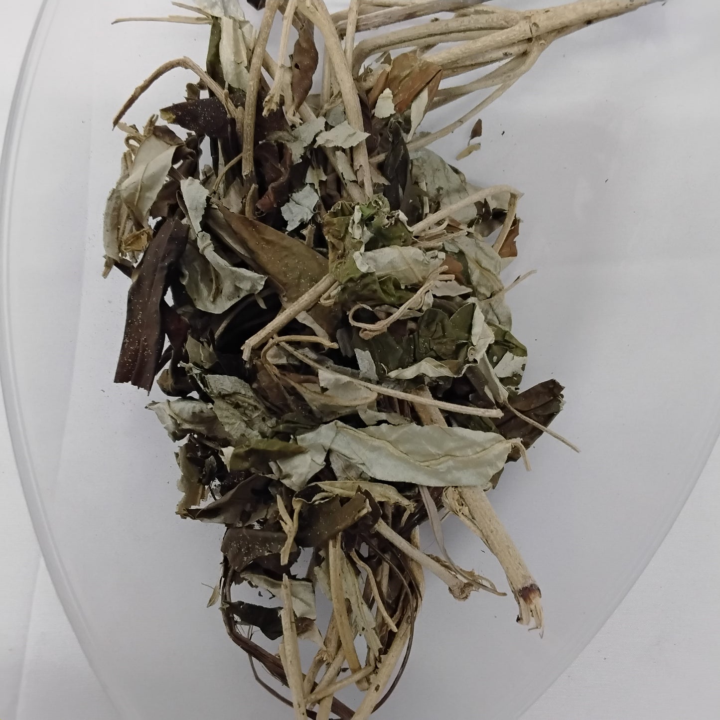 Ewe Ajeobale/3oz Dried Croton Zambesicus