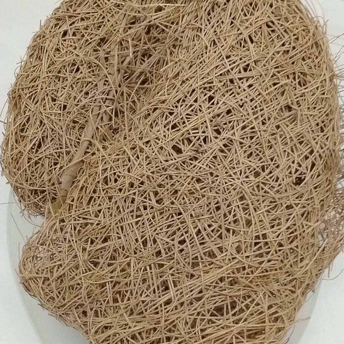 Ite Eiye/African Bird s Nest
