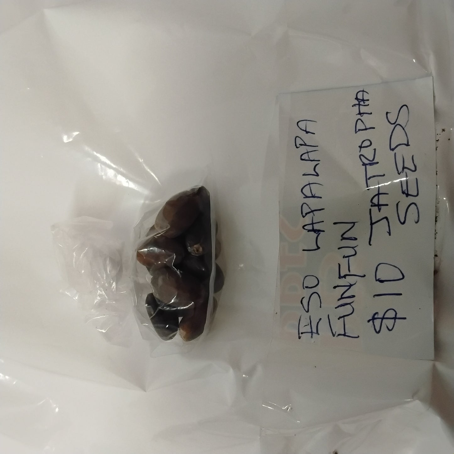 Eso Lapalapa Funfun/Jatropha Curcas Seeds