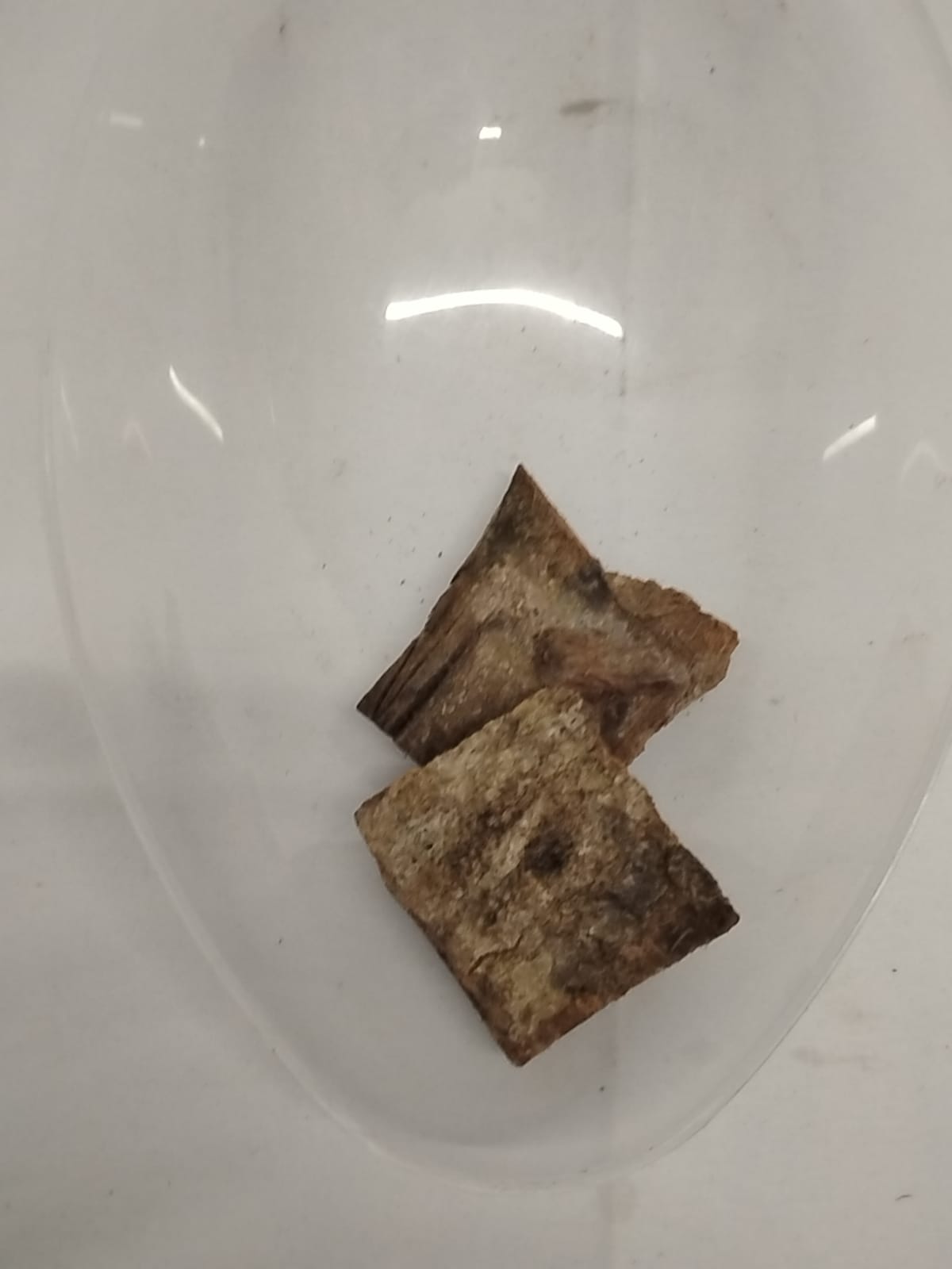 Epo Amuyan/ Epo Padoro/Kigelia Africana/Panettone Bark