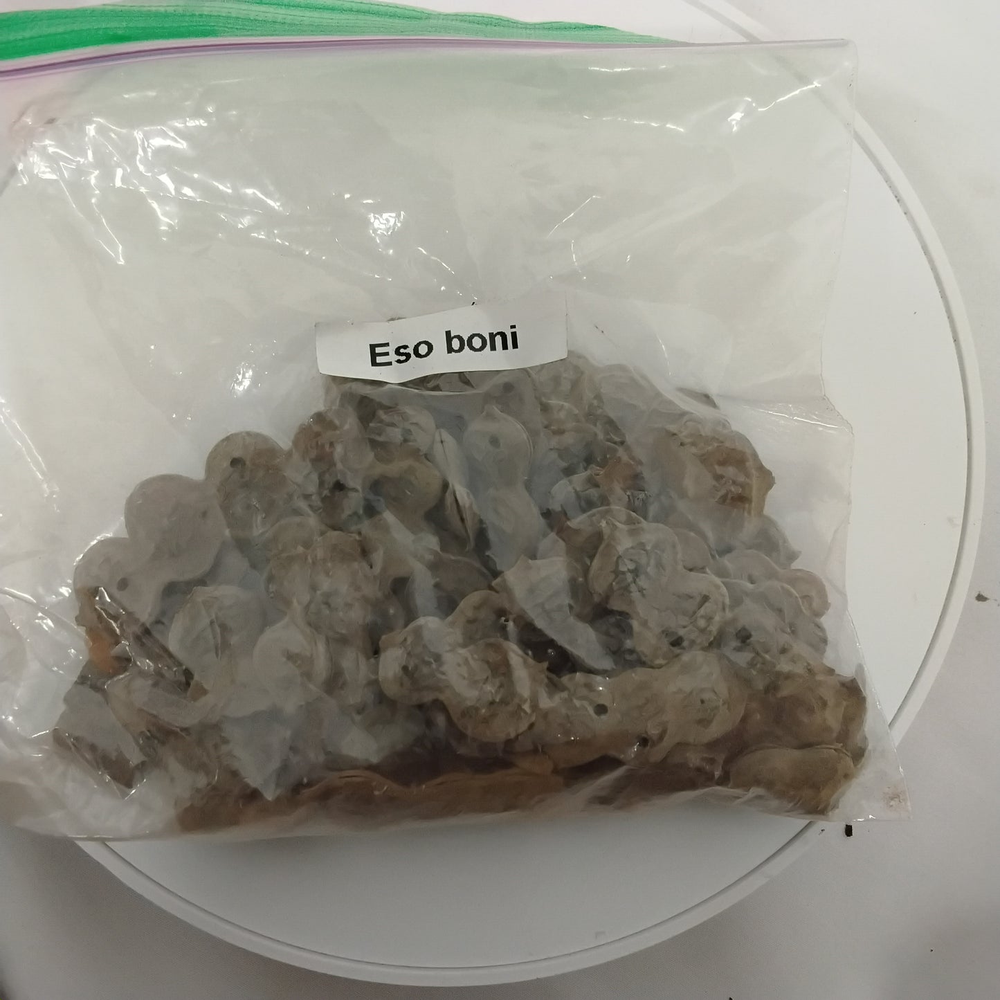 Eso Boni/Acacia Nilotica Seeds