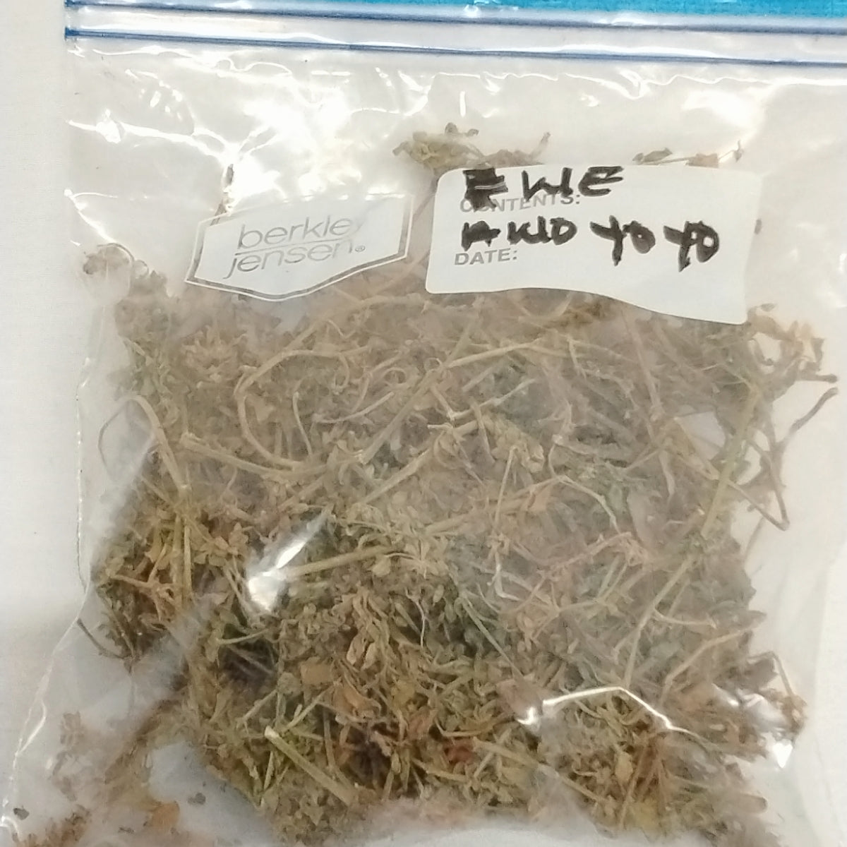 Ewe Awoyoyo/Slender Carpet Weeds/Blinds Oppositifolius