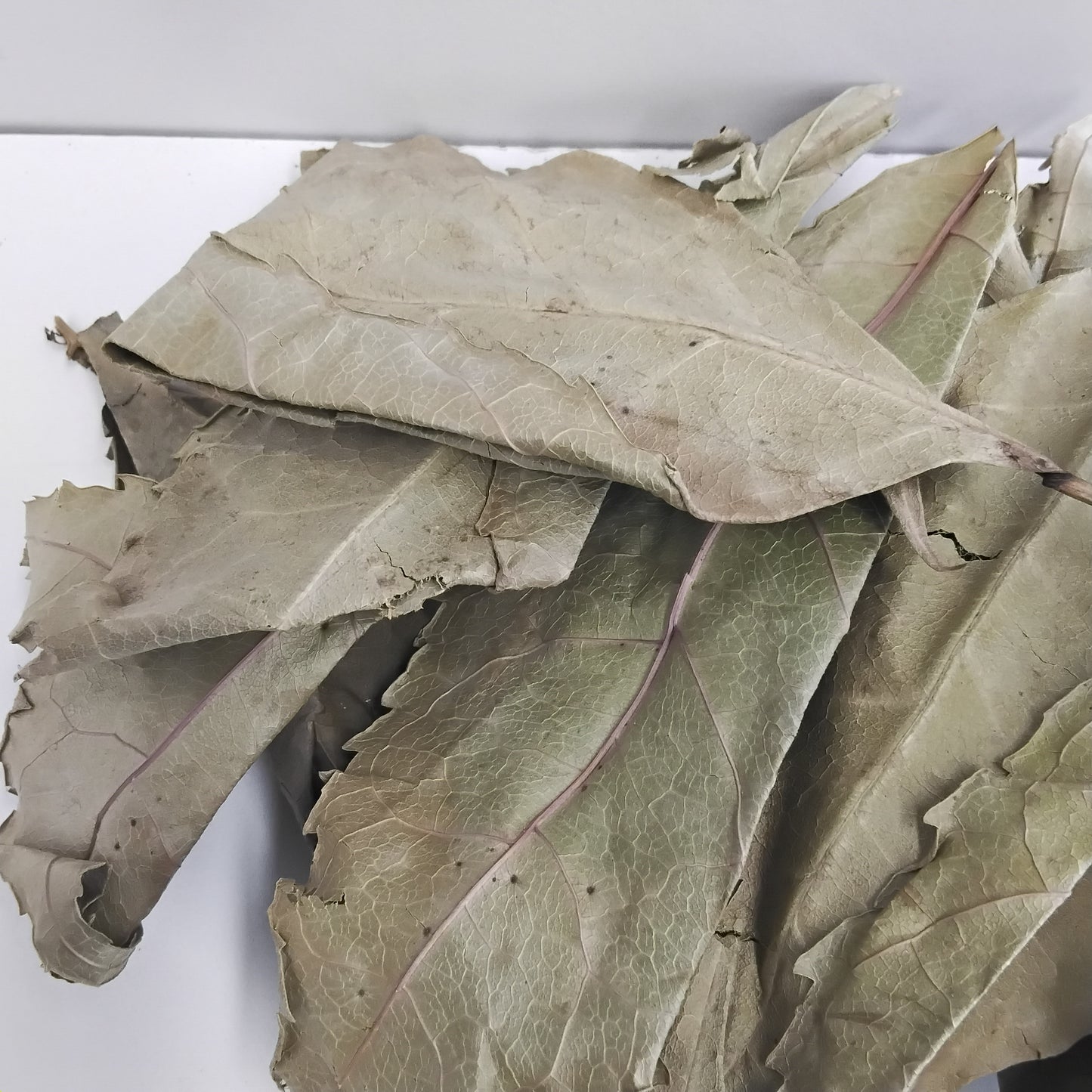 Ewe Akoko/Boundary Tree /Newbouldia Laevis/Tree of Life/Dried Ogiri/Aduruku