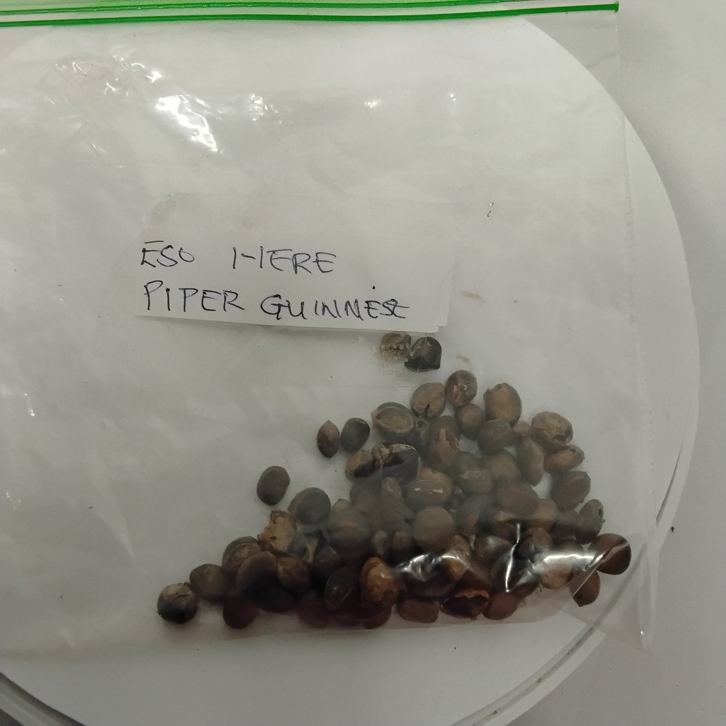 Eso Iyere/Guinea Pippere/Ashanti Pepper Seeds
