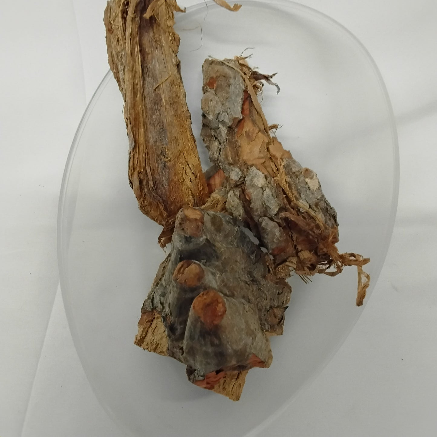 2.5oz Epo Igi Araba/Epo Totoro/Silk Cotton Tree Bark/Akpu-Ogwu/Rimini Bark