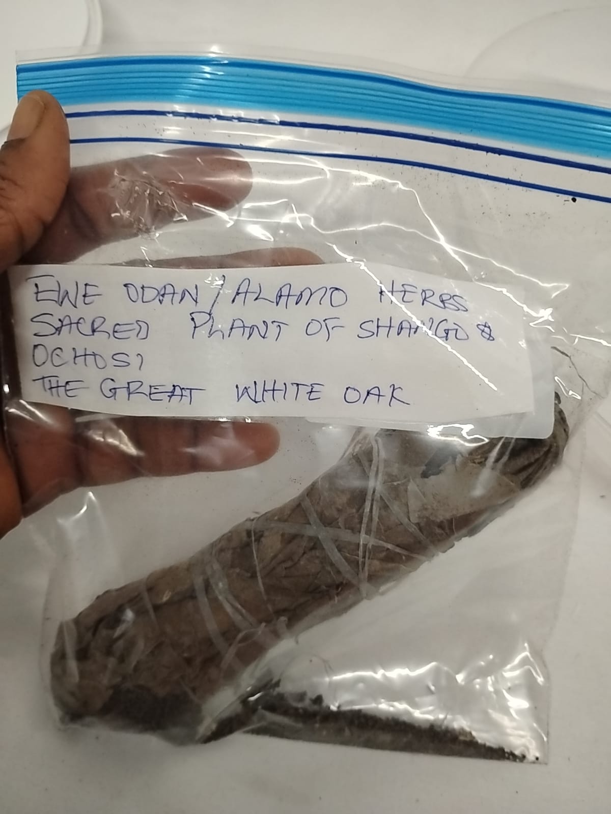 Ewe Odan/ The Great White Oak/Shango Dried Leaves/Alamo Herbs