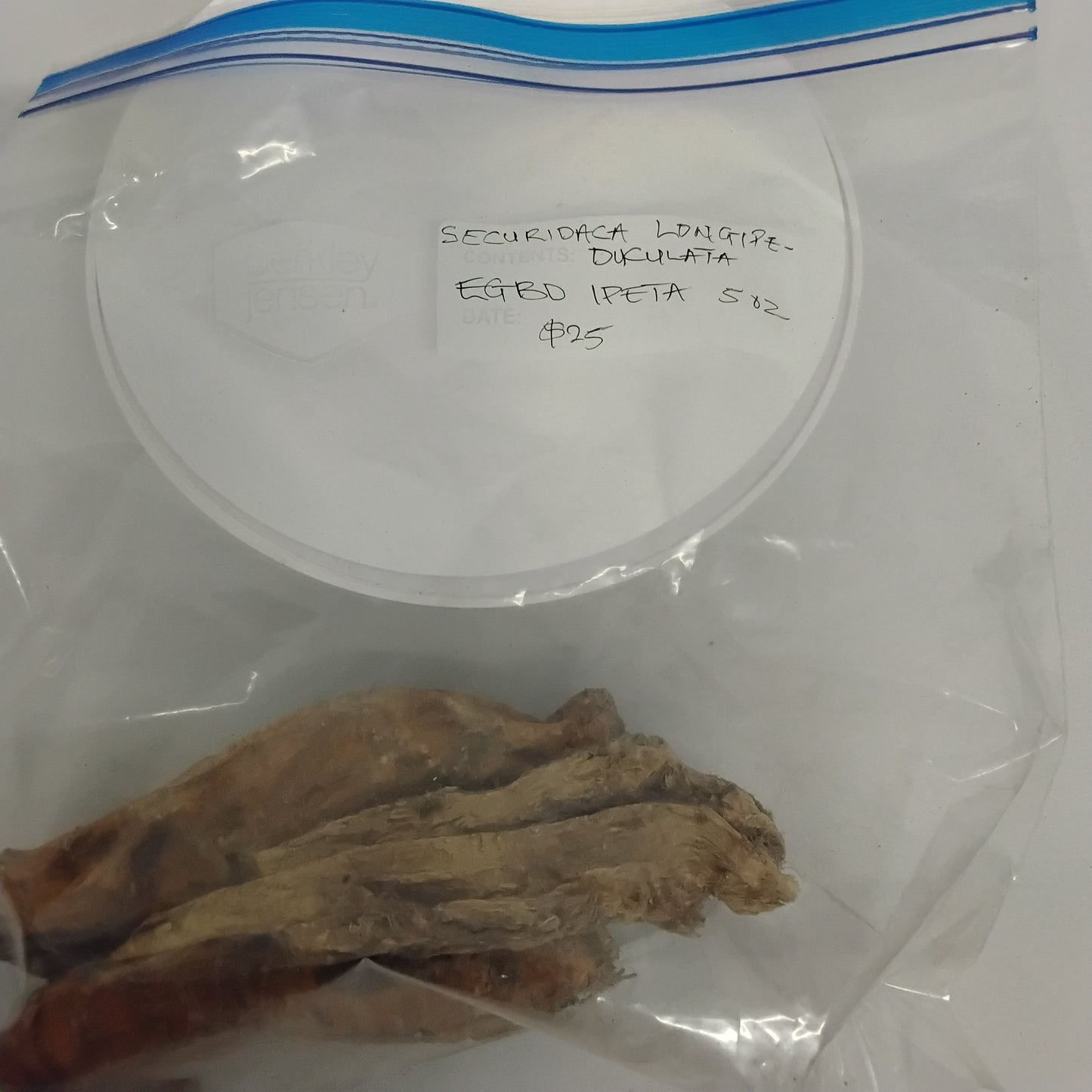 2.5oz Egbo Ipeta/Securidaca Longipeduculata