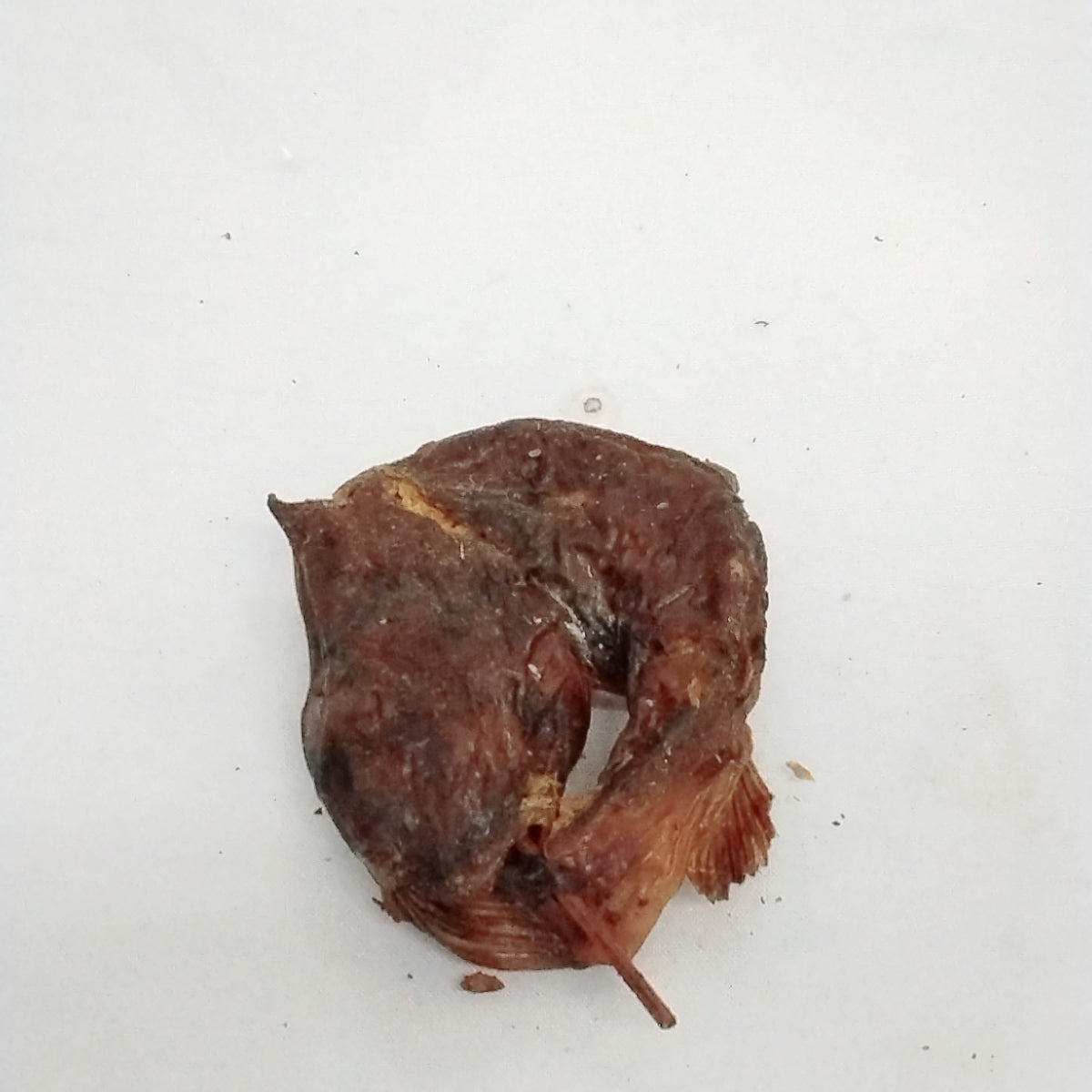 Eja Ojiji/Electric Catfish/Dried Fish