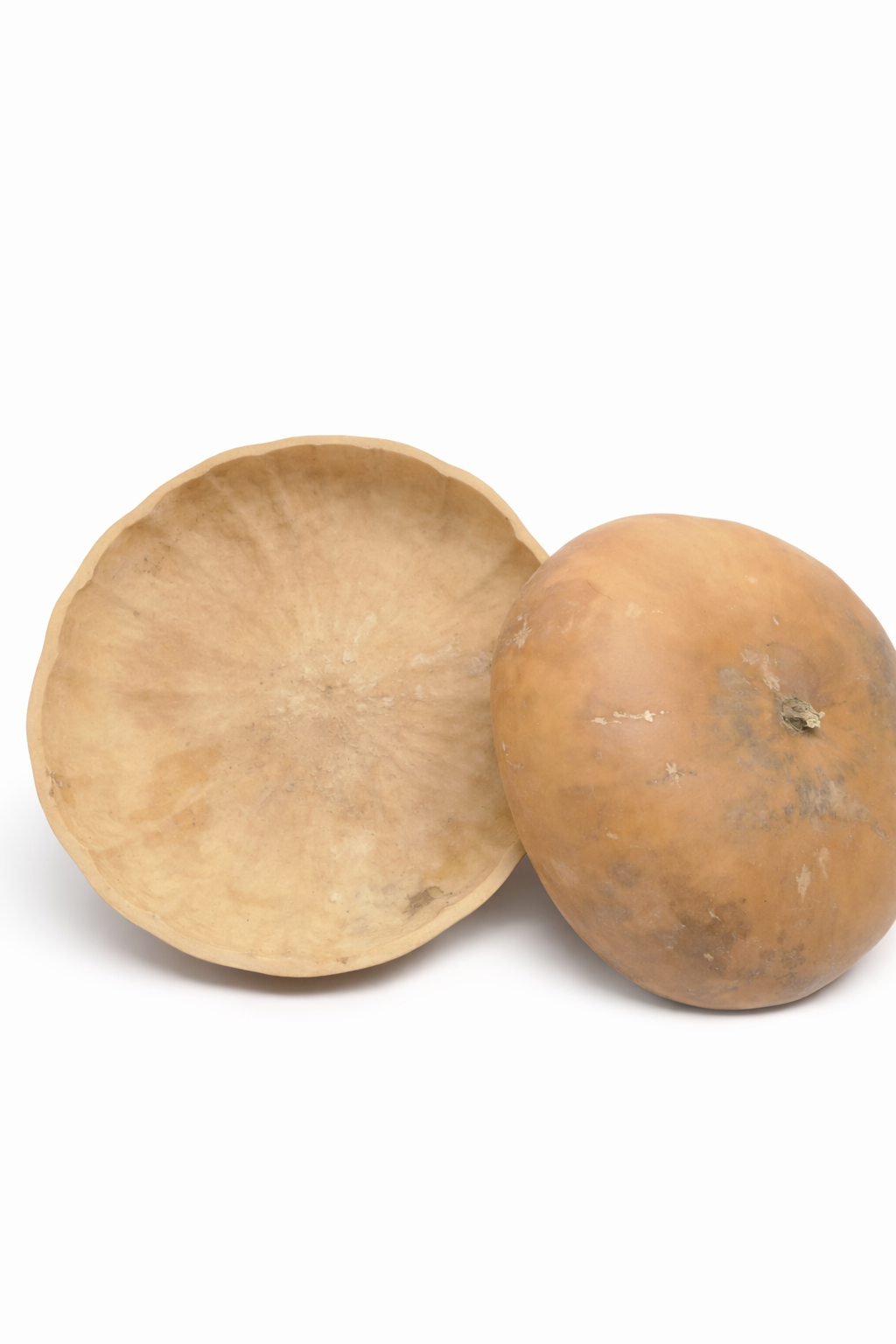 21inches in Diameter Extra Large Calabash/1pcs Calabash/2pcs 19 Inches Extra Large Calabash/Pakata Nla