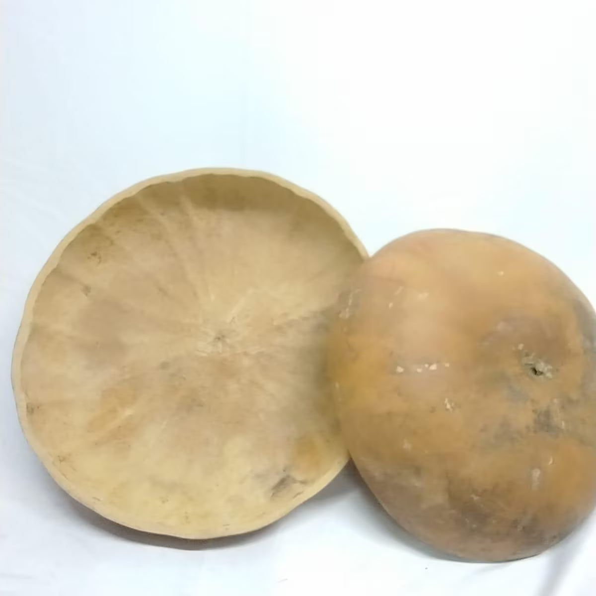 21inches in Diameter Extra Large Calabash/1pcs Calabash/2pcs 19 Inches Extra Large Calabash/Pakata Nla