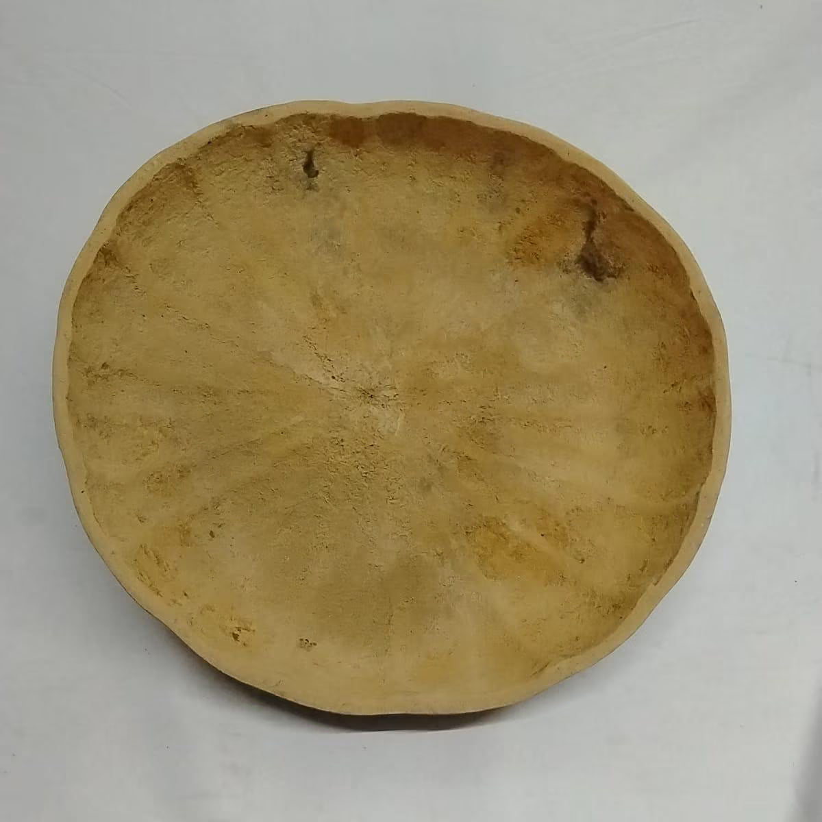 21inches in Diameter Extra Large Calabash/1pcs Calabash/2pcs 19 Inches Extra Large Calabash/Pakata Nla