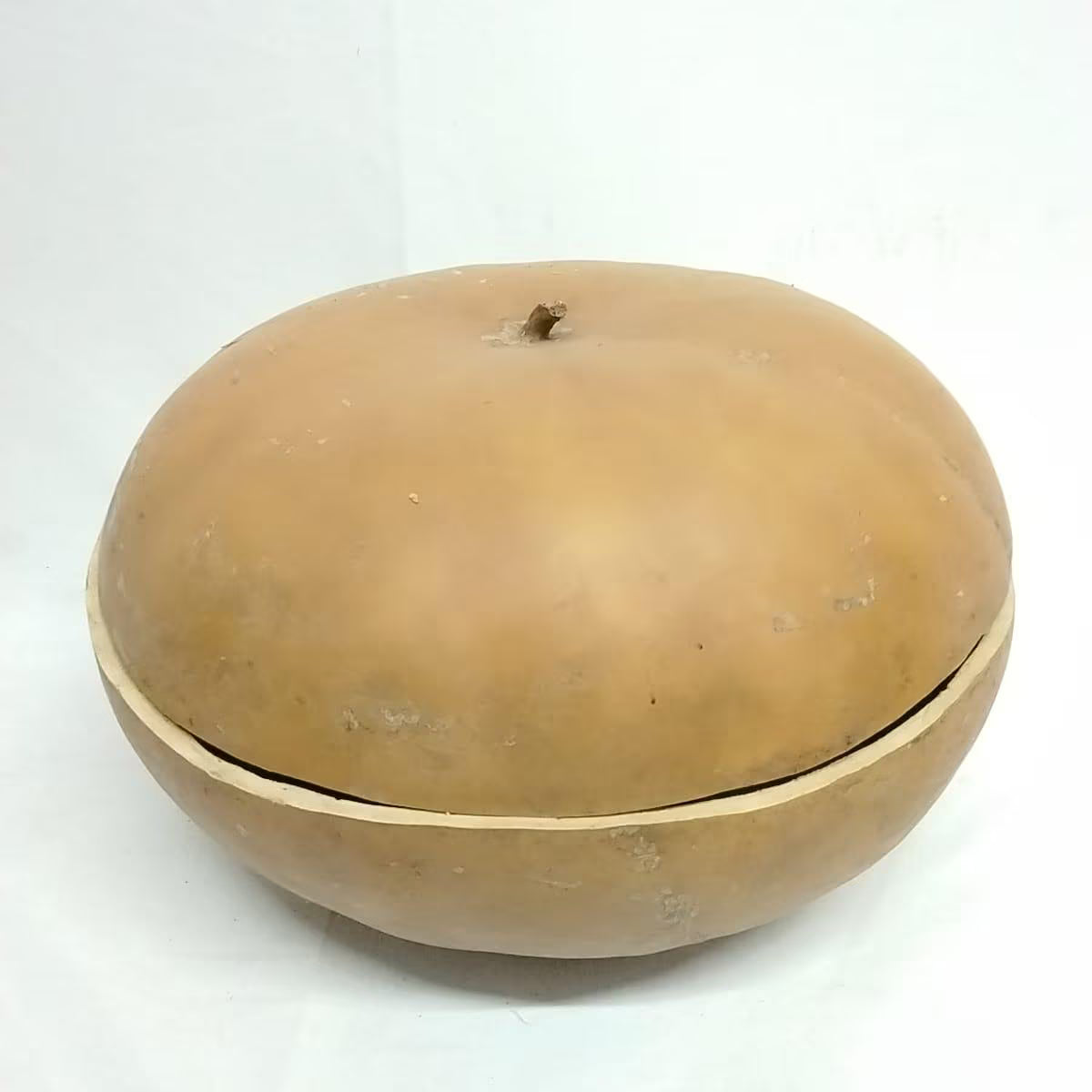 21inches in Diameter Extra Large Calabash/1pcs Calabash/2pcs 19 Inches Extra Large Calabash/Pakata Nla