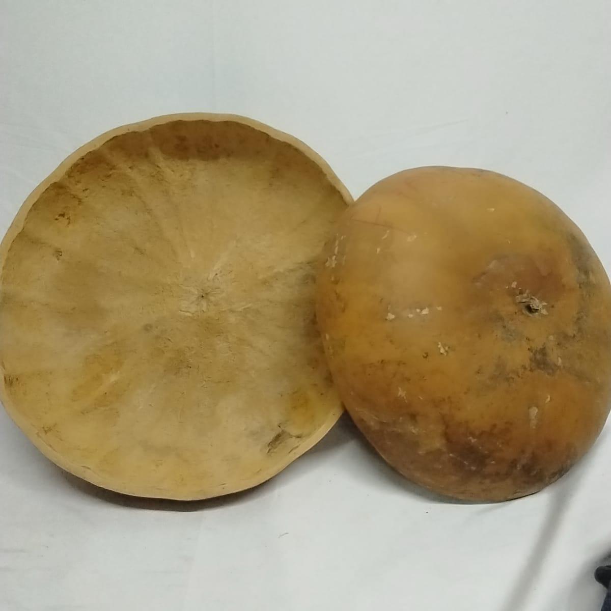 21inches in Diameter Extra Large Calabash/1pcs Calabash/2pcs 19 Inches Extra Large Calabash/Pakata Nla