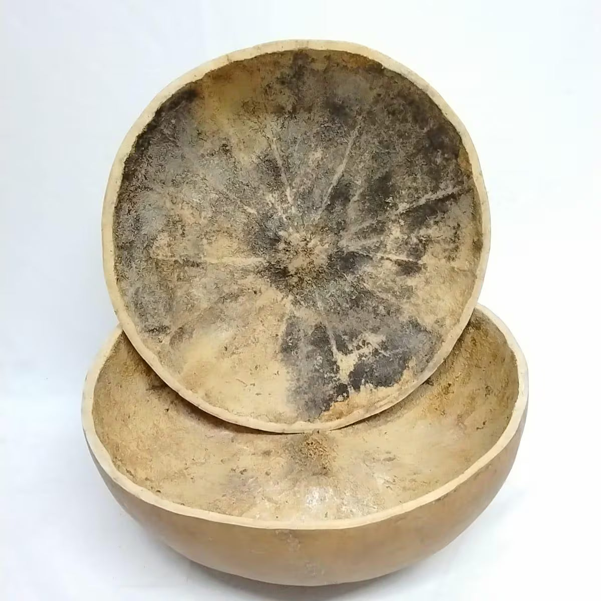 21inches in Diameter Extra Large Calabash/1pcs Calabash/2pcs 19 Inches Extra Large Calabash/Pakata Nla