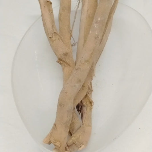 5oz Egbo osan Wewe/African Key Lime Roots/ African Dried Roots