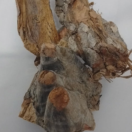 2.5oz Epo Totoro/Epo Igi Araba/African Majestic Silk Cotton Bark/Kapok