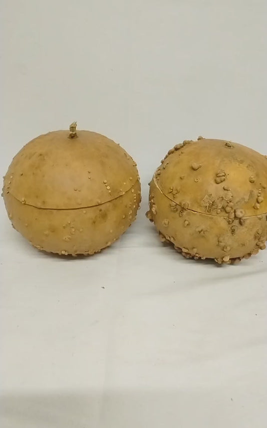 Igba Onikoko/Calabash with Lumps