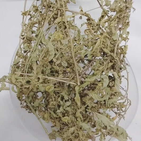 Ewe Osepotu/Sida Acuta/Wireweed/Broom Weed/Common Wireweed/Dried Herbs