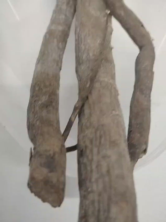 Egbo Aidan Toro/Egbo Lawale