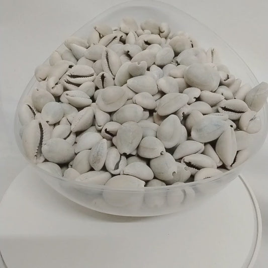 20pcs African Authentic/Natural Cowries/Owo Eyo