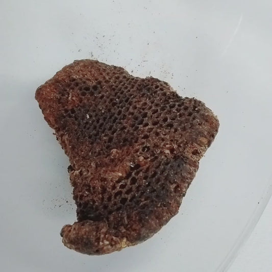 Afara Oyin/Dried African Organic Honey Comb