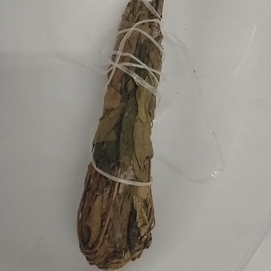 Atapari Obuko/Agbonsa/Clausen Anisata