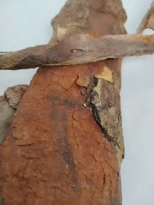 2.5oz Epo Iya/African Balsam Batk/Daniellia