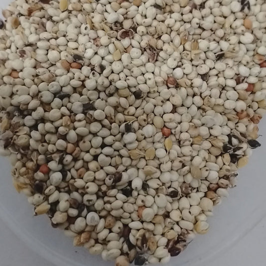 8oz Jero Funfun/Oka Baba Funfun/African  White Guinea Sorghum