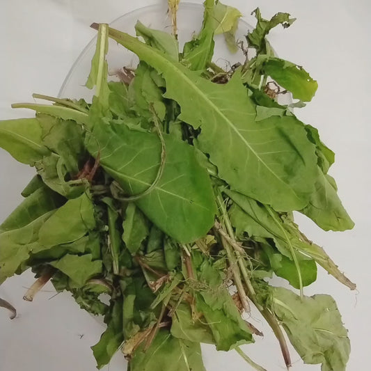 Efo Yanrin/Wild Lettuce/Dandellion