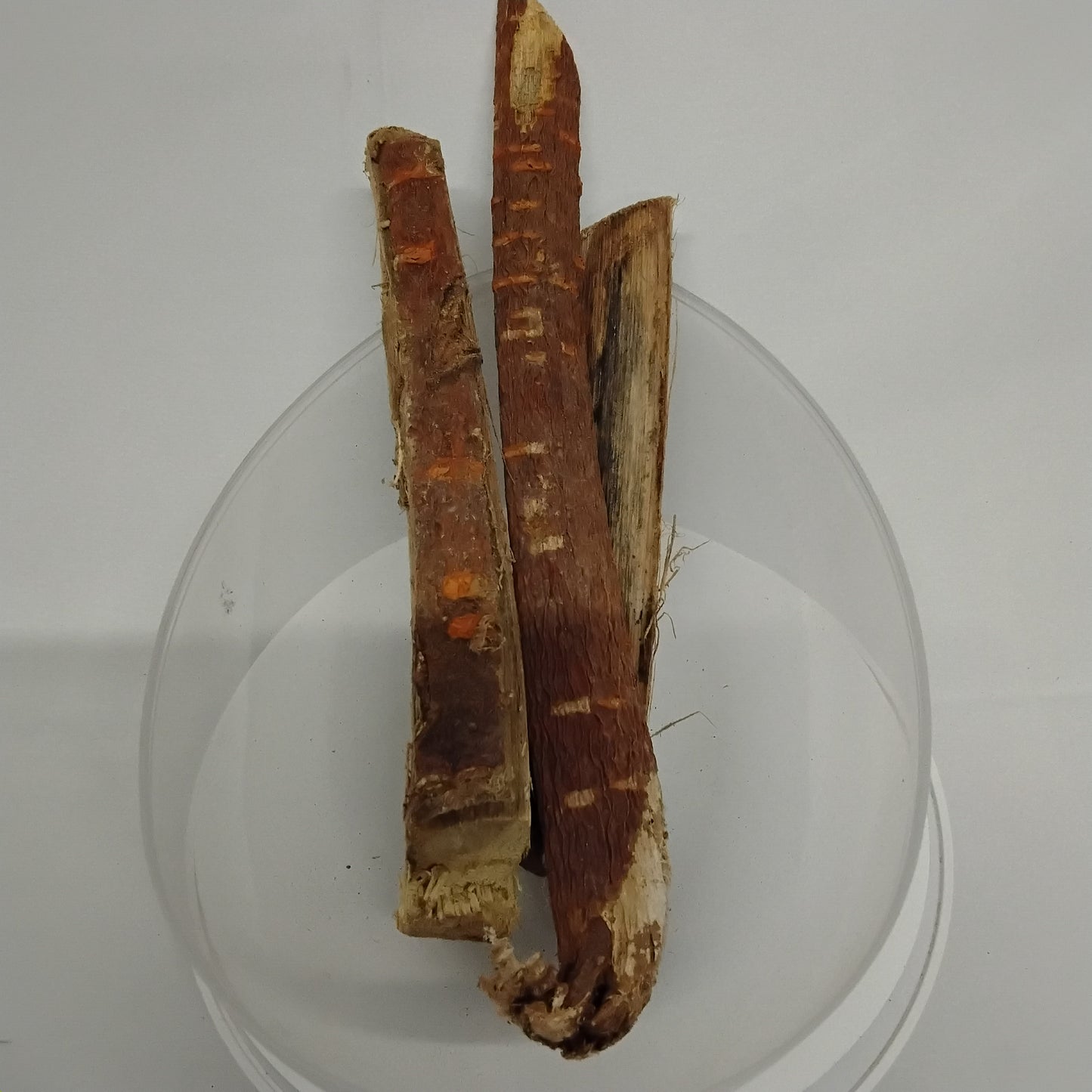 Egbo Iroko/African Teak Root/Felicia Excelsa/Orji/Kambala/Mvule Root/African Dried Root