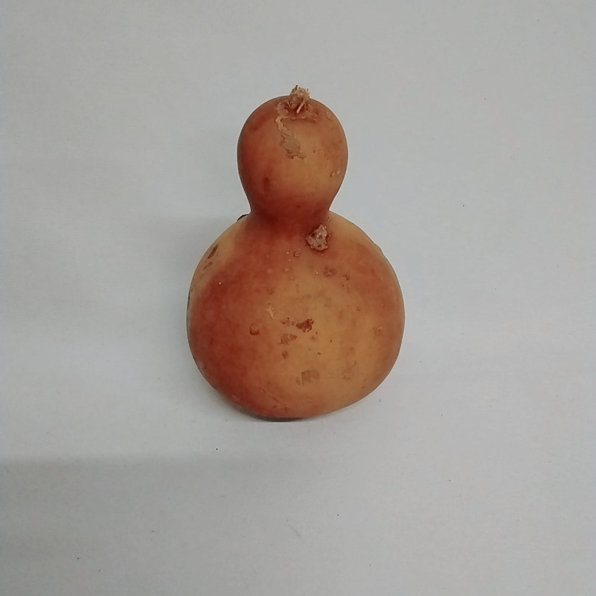 Ado/African Dried Bottle Gourd