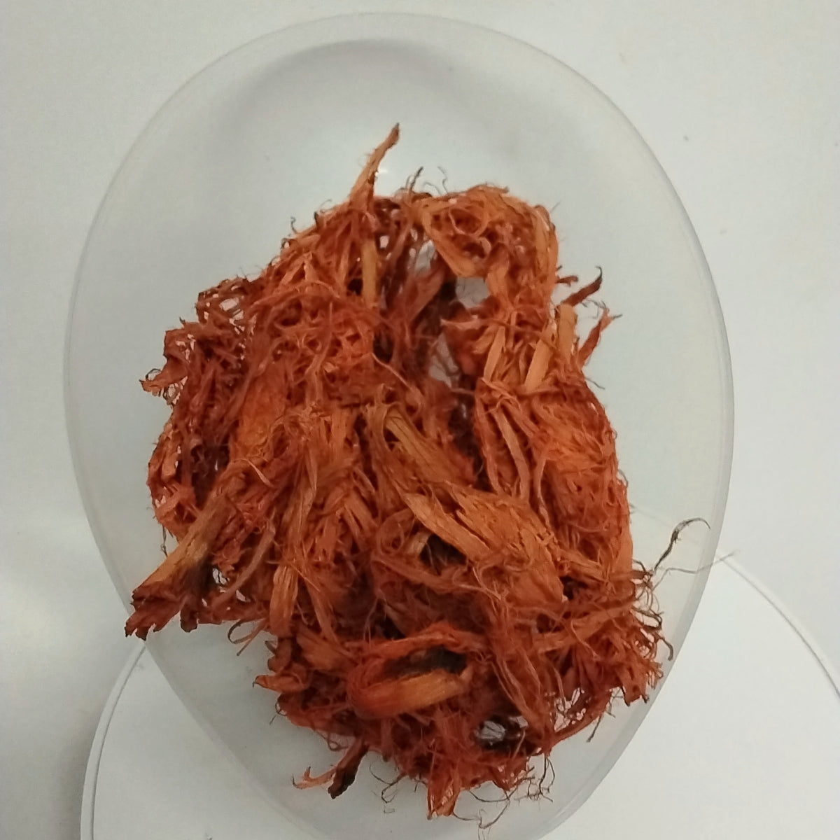 Kankan Eje/Tonic Sponge