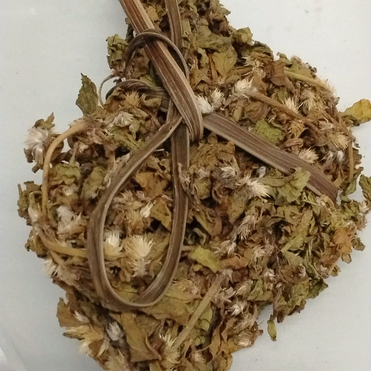 Ewe Dagunro/ Acanthospermum Hispidum