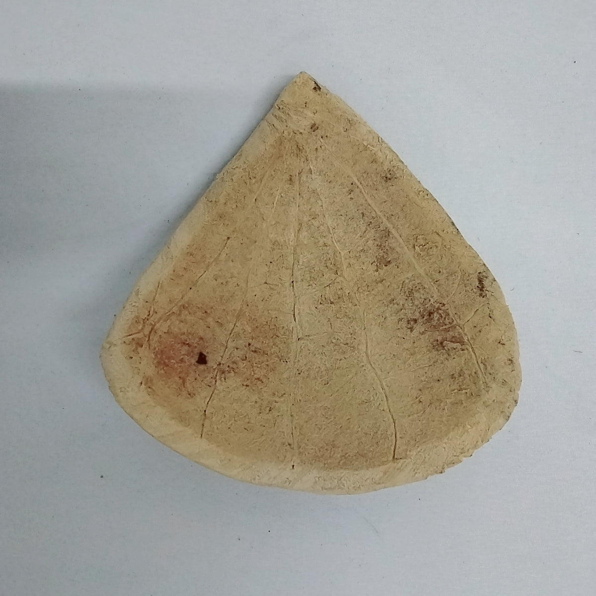 1pc Igbako/African Calabash Scoop Spoon/Organic Traditional Scoop Spoon