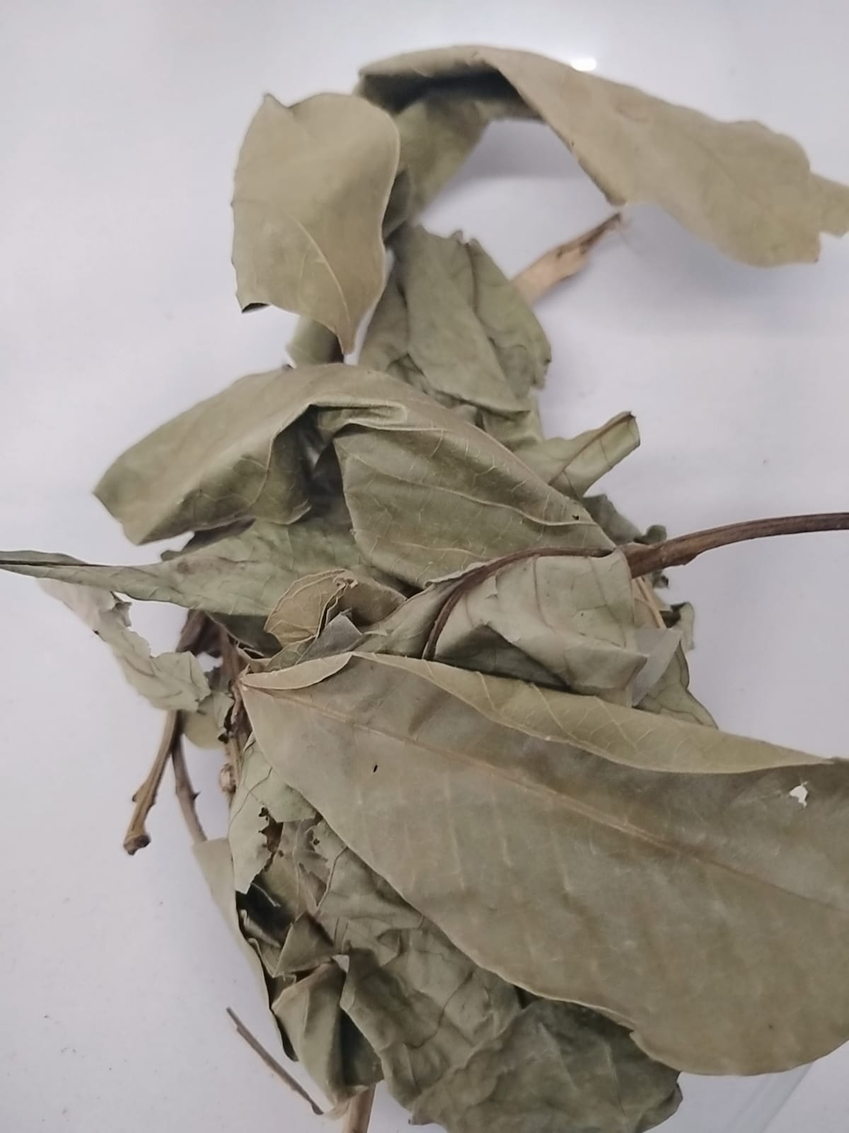 Ewe Isin/Ackee Leaves