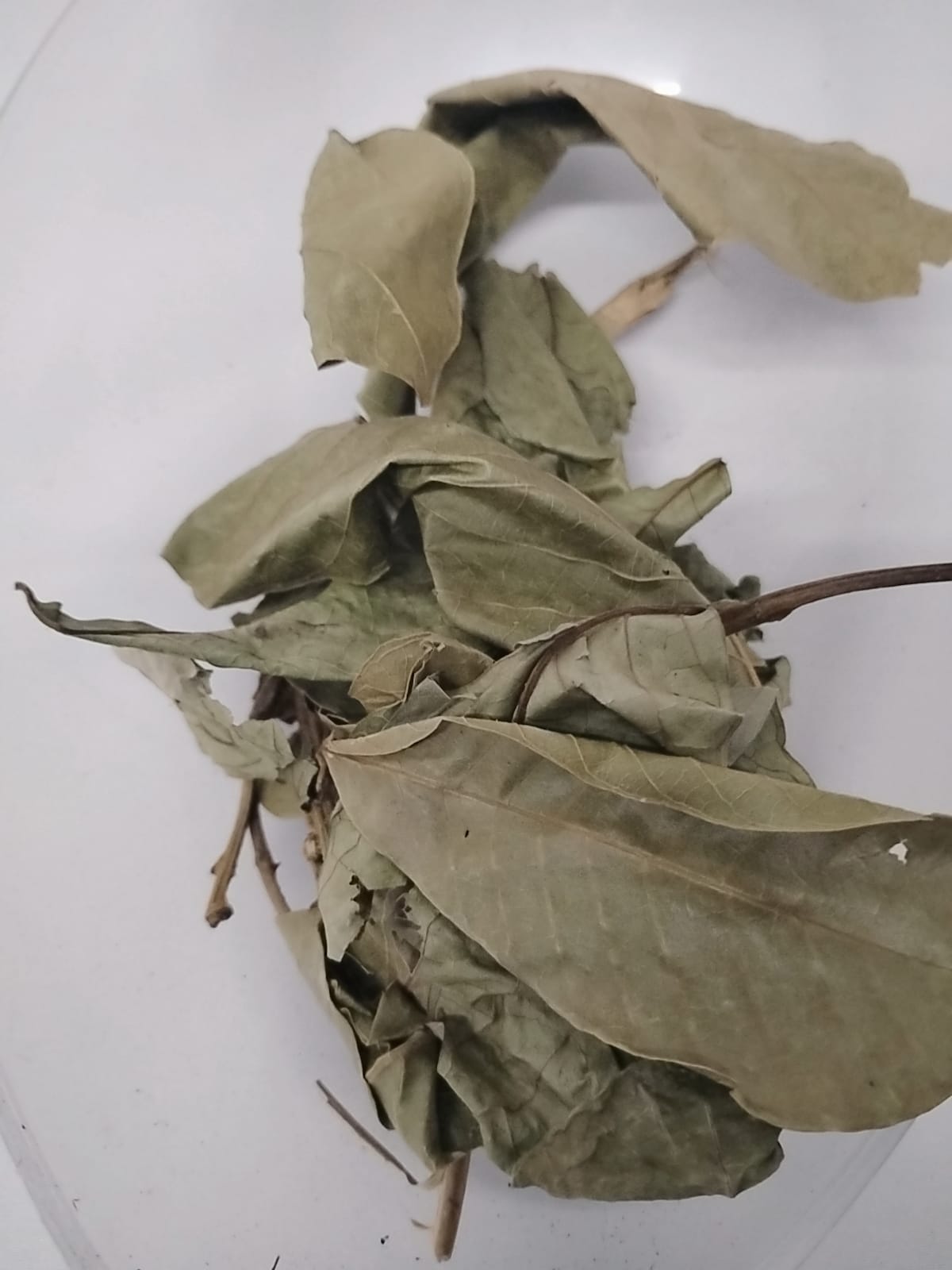 Ewe Isin/Ackee Leaves