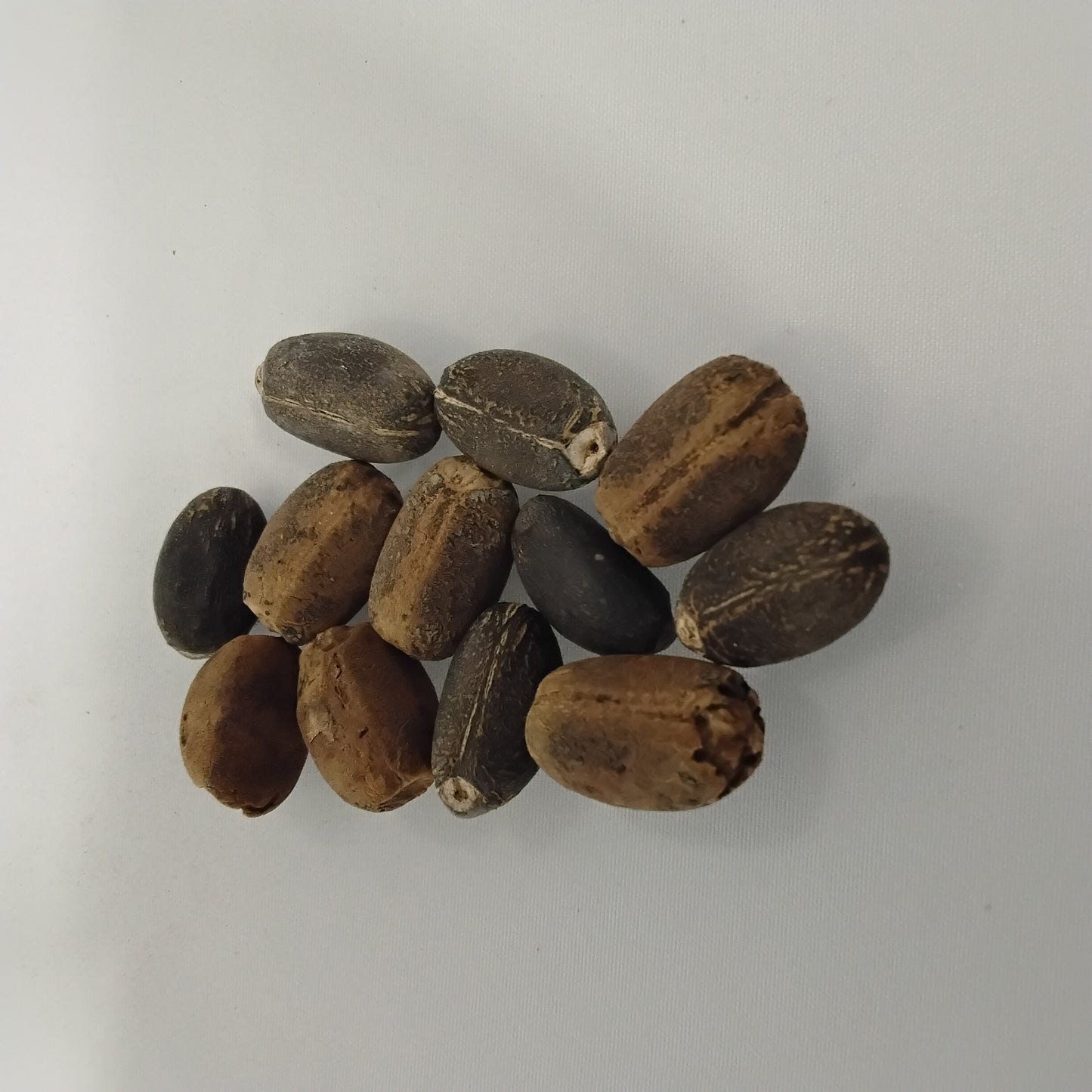 Eso Lapalapa Funfun/Jatropha Curcas Seeds
