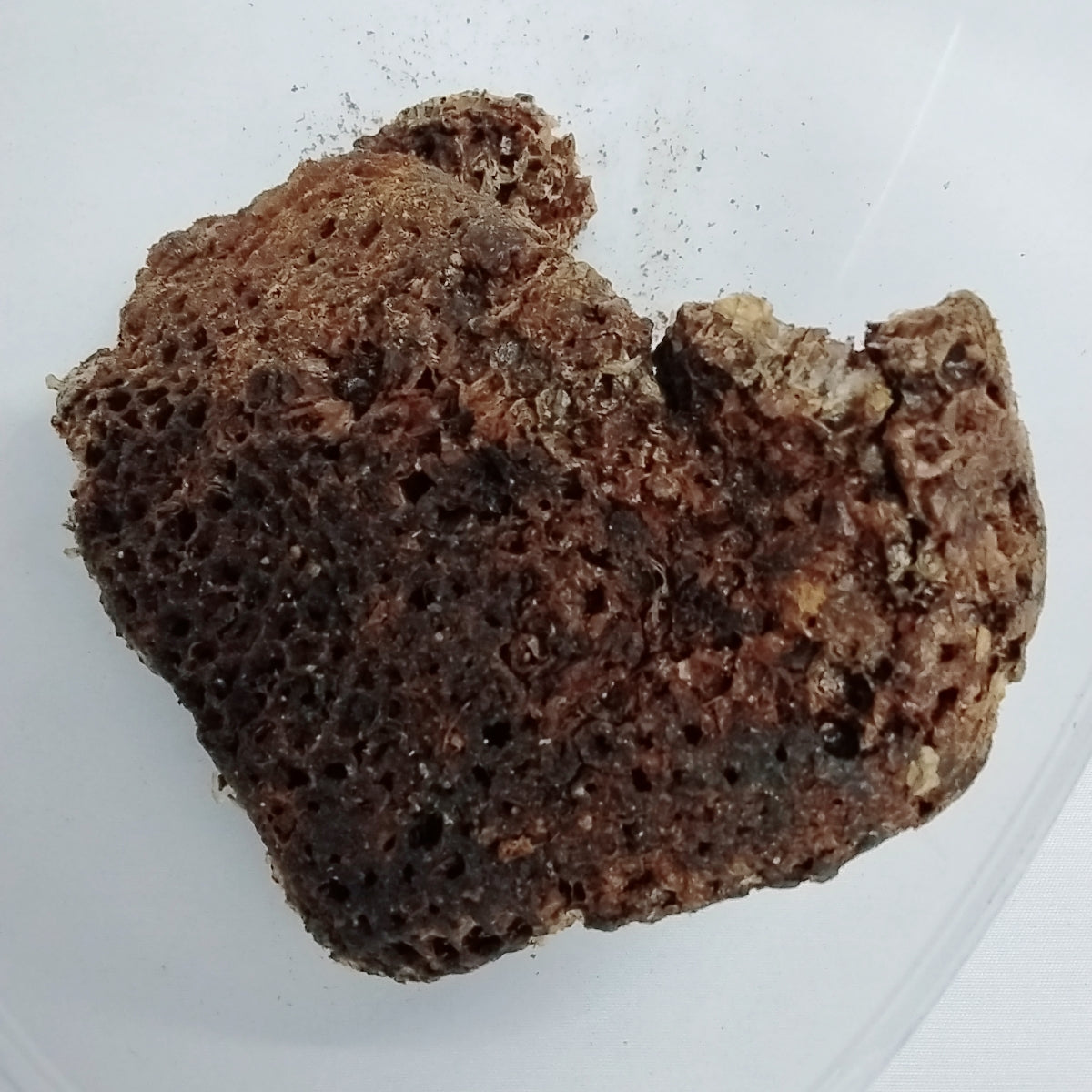 Afara Oyin/Dried African Organic Honey Comb