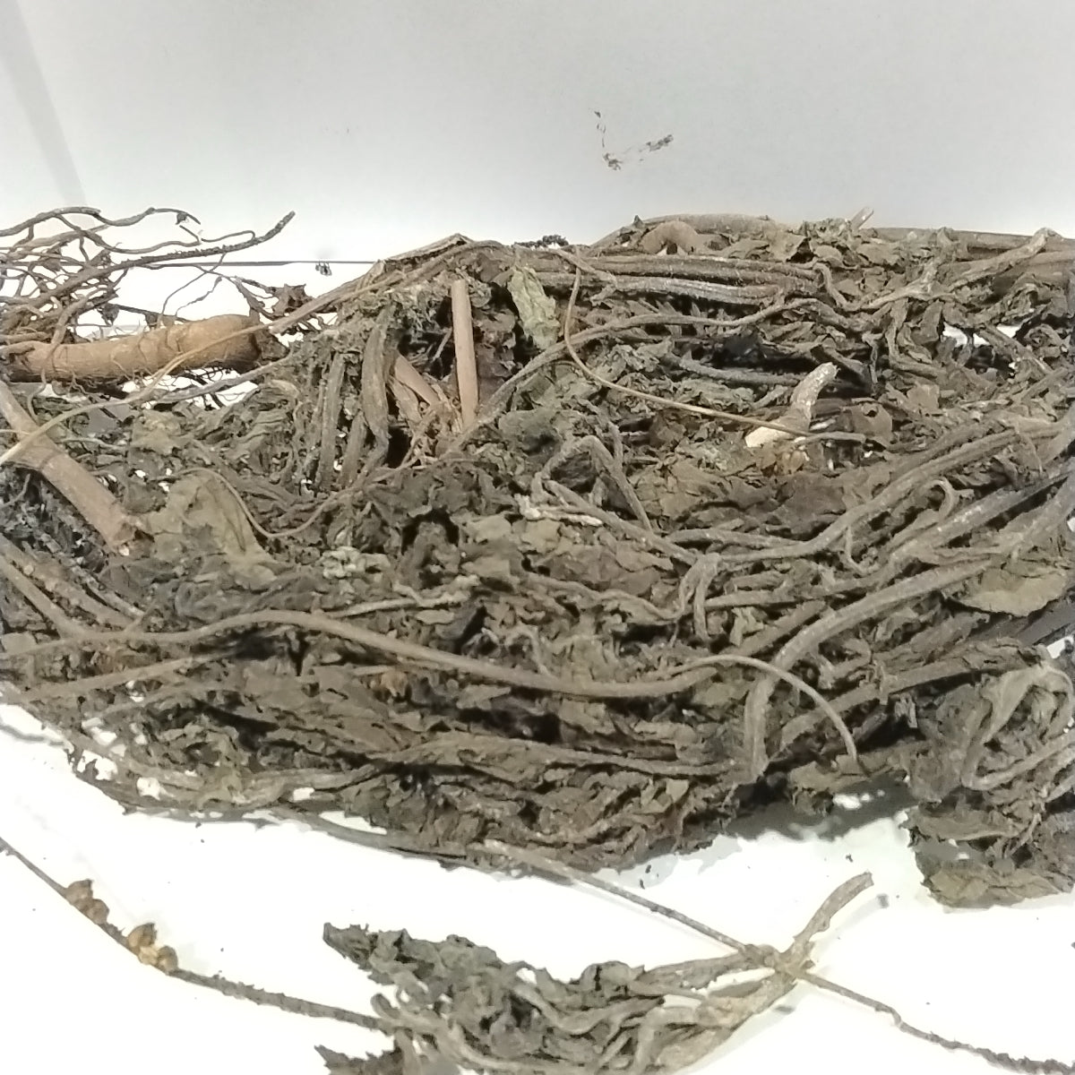 Ewe Ogbe Ori Akuko/ Heliotropium Indicum/ Indian Heliotrope/Scorpio Tails leaf/Dried Herbs