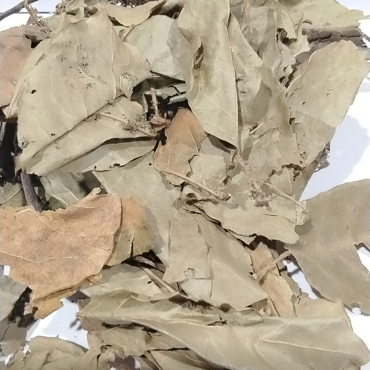 Ewe Kaju/African Cashew Leaf/ Dried herbs/Anacardium Occidentale leaf