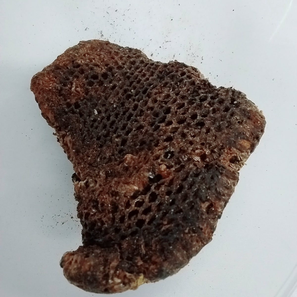 Afara Oyin/Dried African Organic Honey Comb