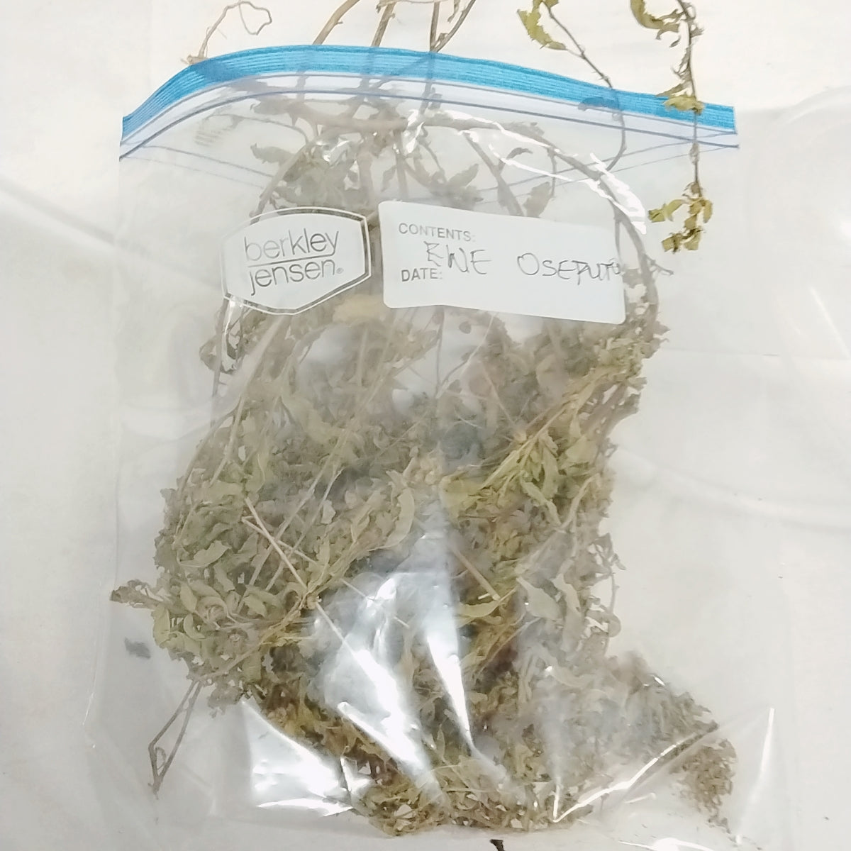 Ewe Osepotu/Sida Acuta/Wireweed/Broom Weed/Common Wireweed/Dried Herbs