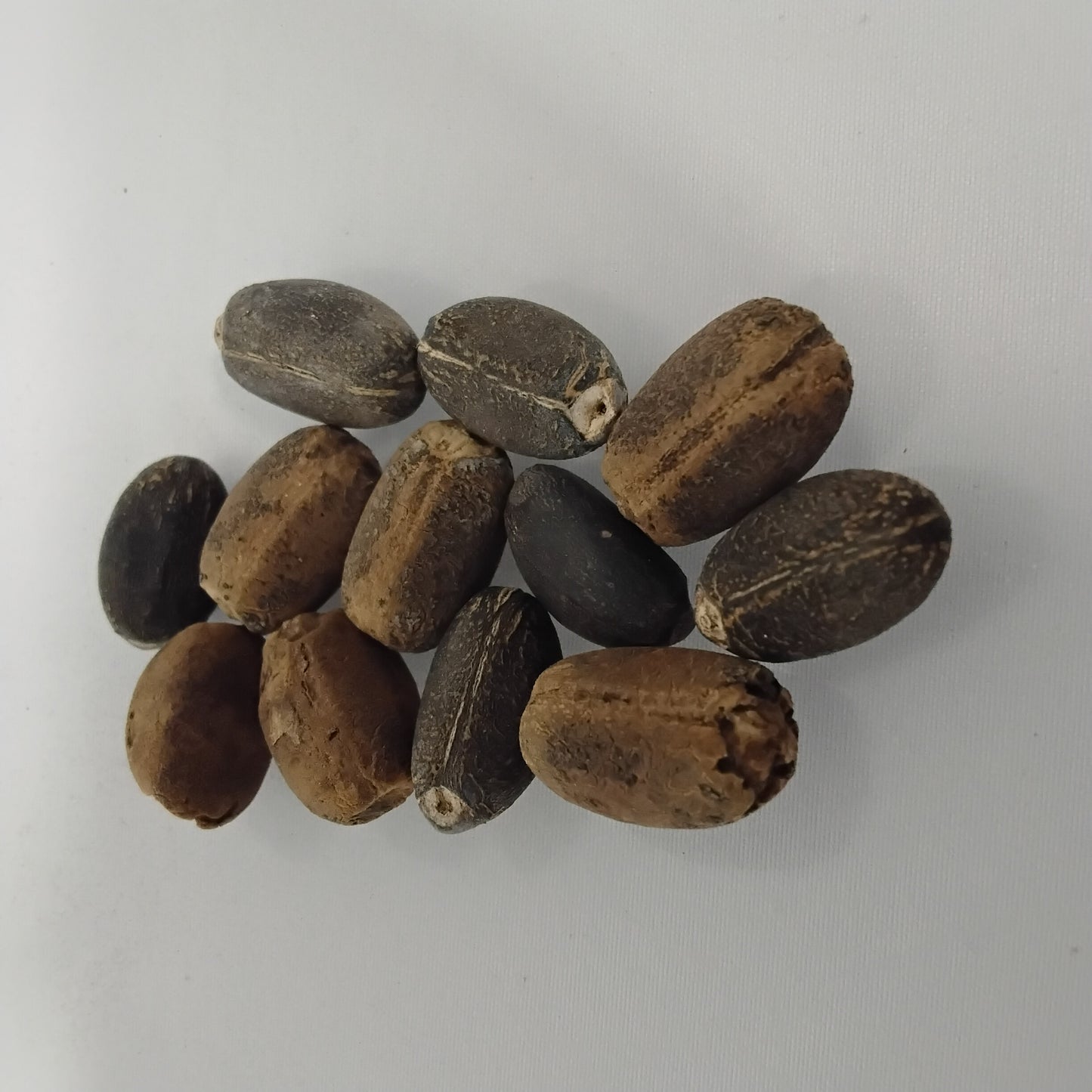 Eso Lapalapa Funfun/Jatropha Curcas Seeds