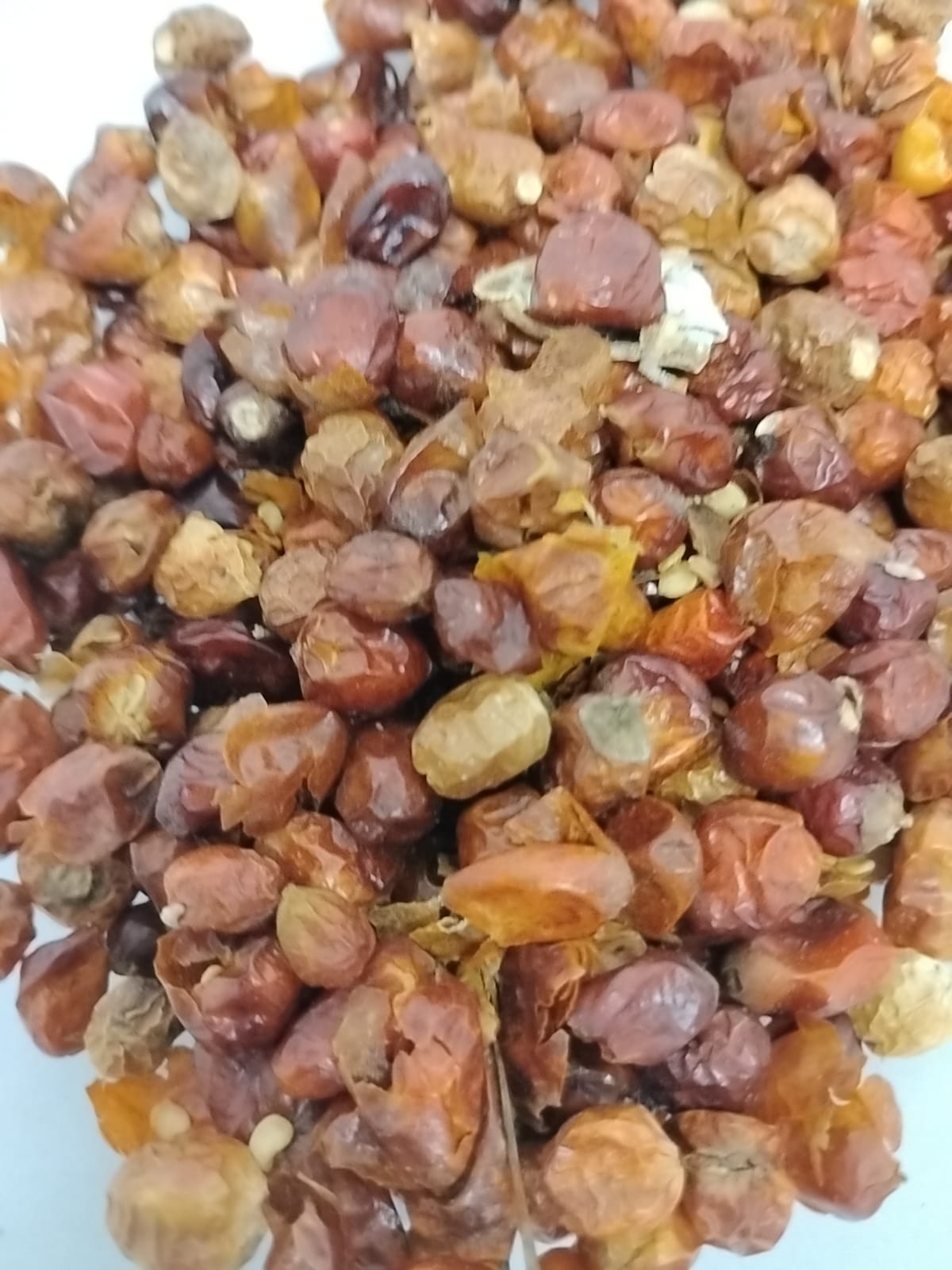 2.5oz Ata Ijosi/African Cayenne Pepper/Hand Picked Whole Chili Pepper