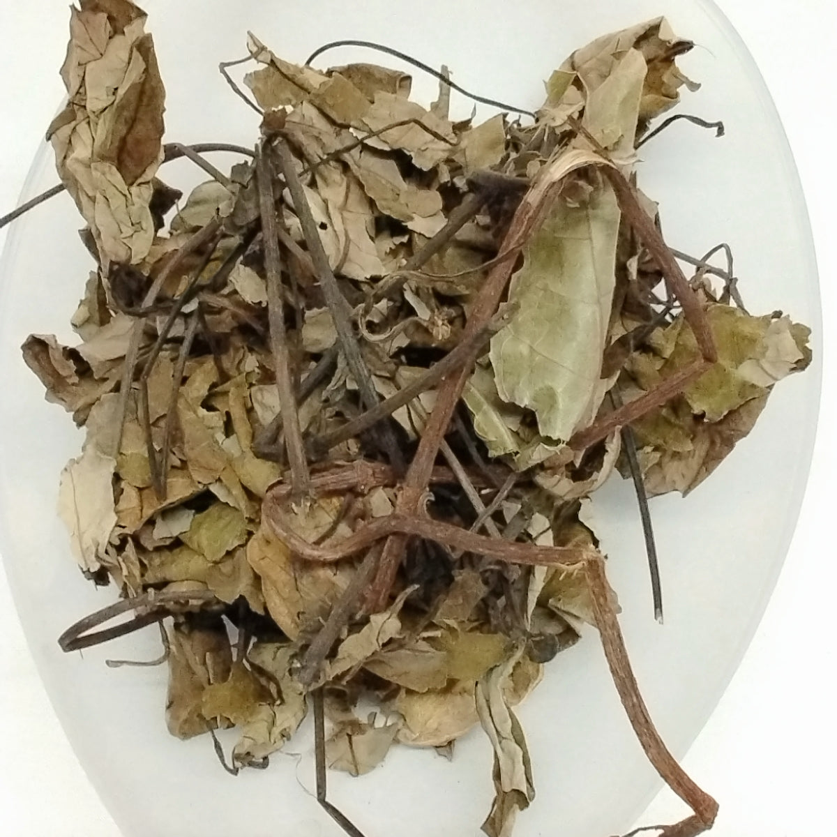 Ewe Ogbo/African Dried Parquentina Nigrescens/African Dried Herbs