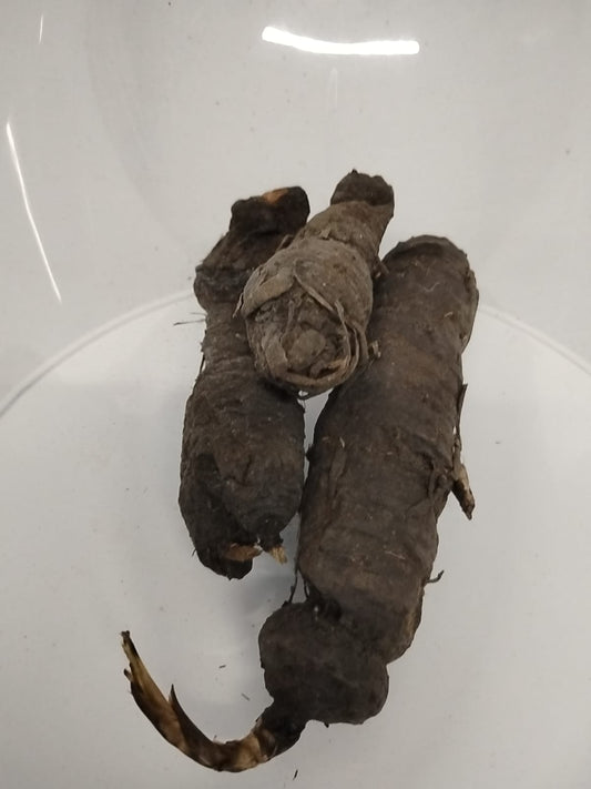 5oz Epa Ikun/Genius Curculigo Pilosa/Dried Roots